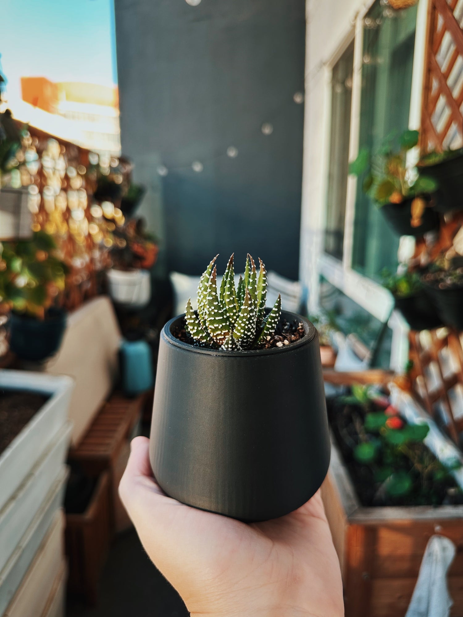 Self-watering planters